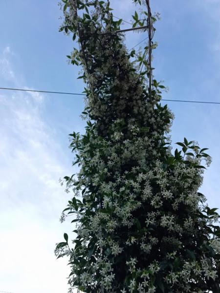 林皮亚斯 拉卡萨德尔阿瓜56号宾馆酒店 外观 照片